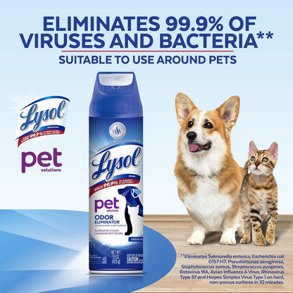 Lysol disinfectant spray being used on a pet bed