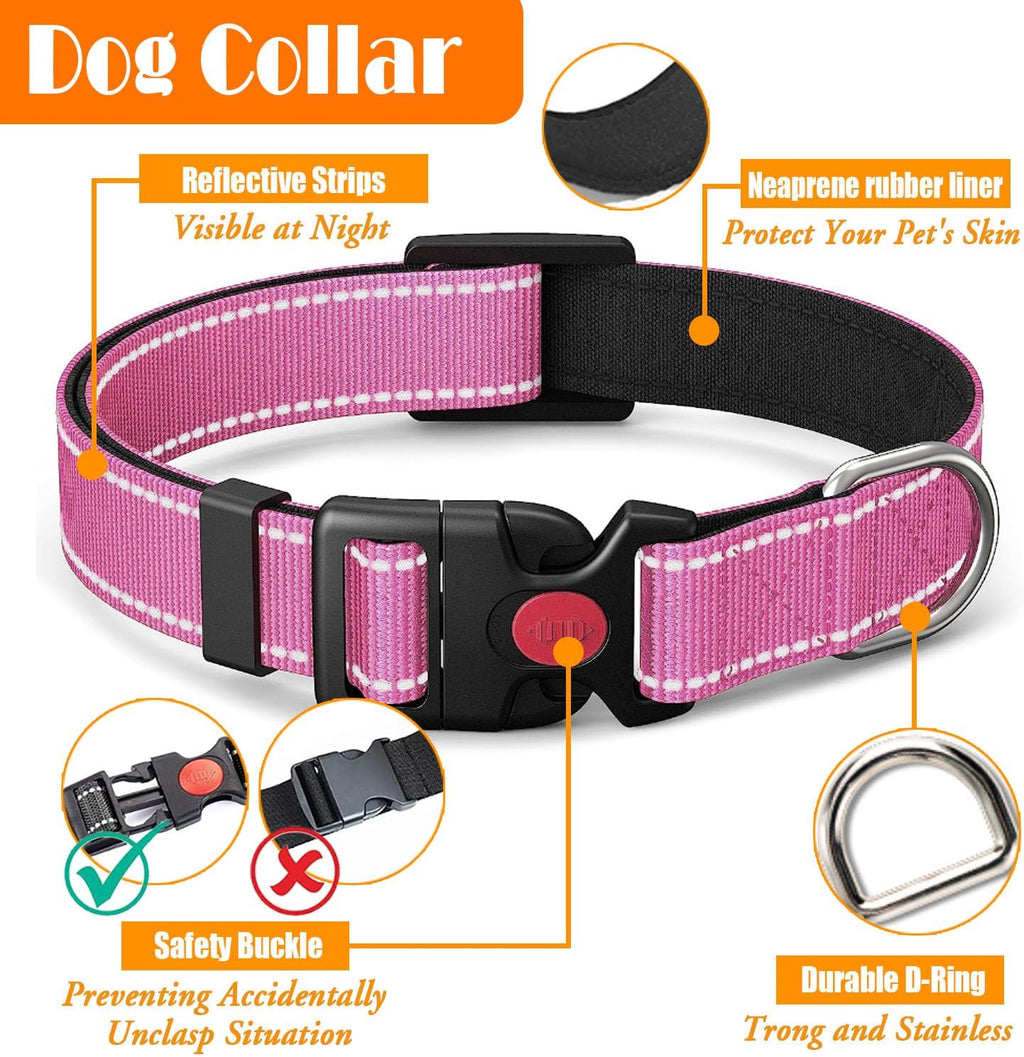 Lobeve high visibility reflective dog collar and harness close up