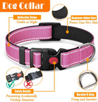 Lobeve high visibility reflective dog collar and harness close up