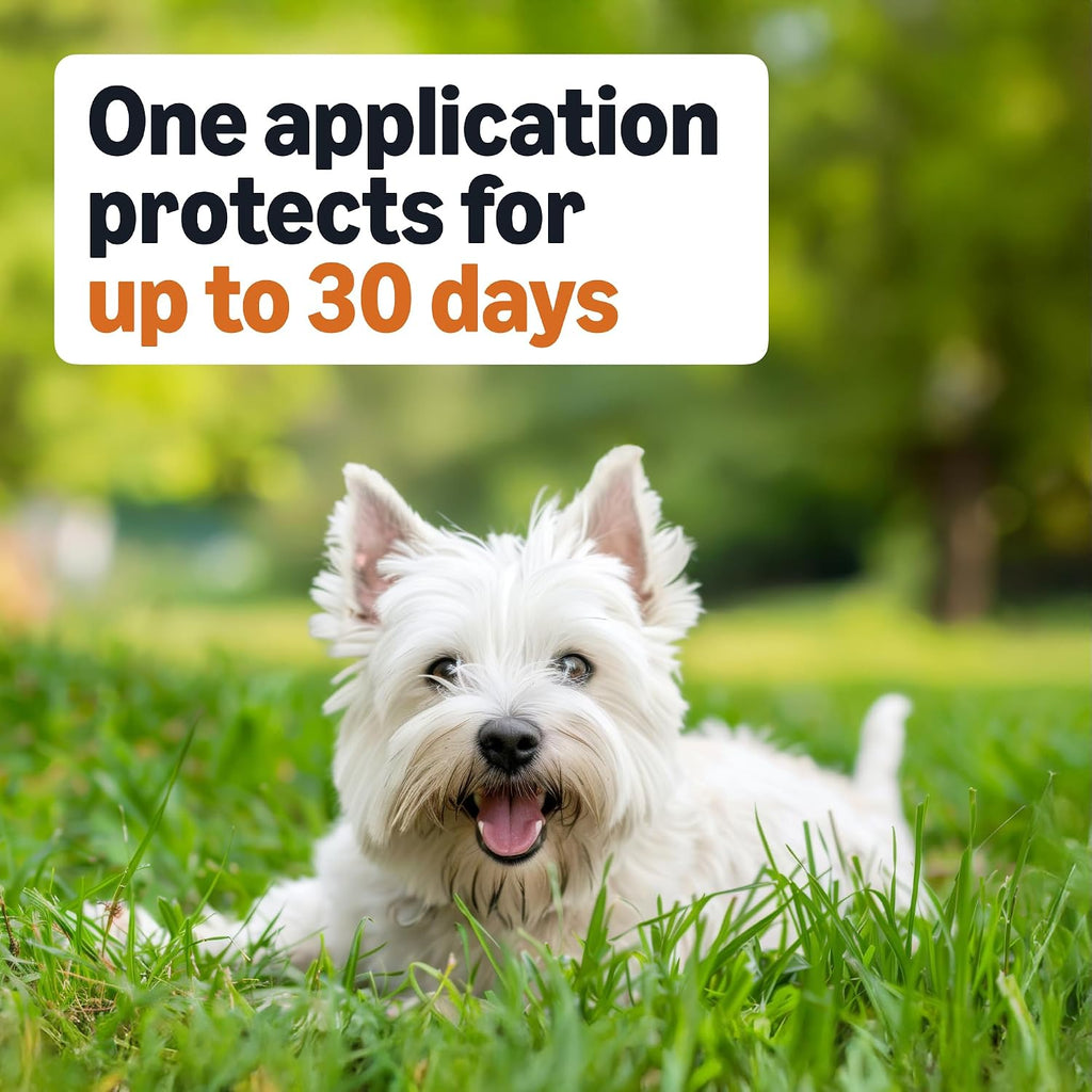 Waterproof pest control topical drops for dogs back view instructions
