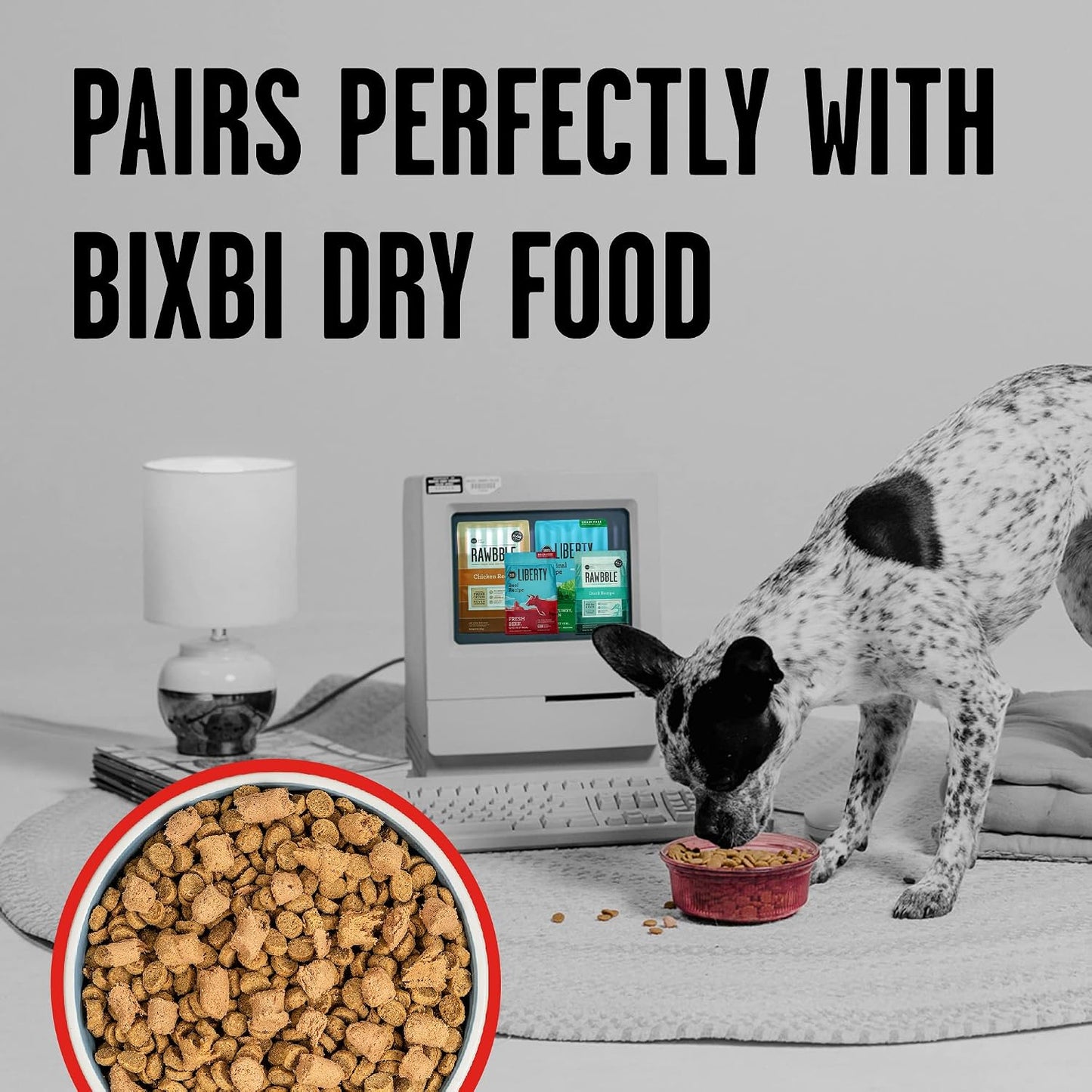 Premium freeze dried dog food pieces made with pasture fed beef