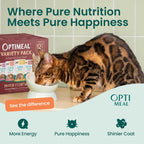 Twelve pack of Optimeal wet cat food variety selection for daily healthy feline feeding