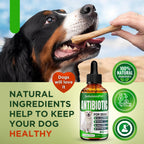SalutemPet natural canine antibiotic alternative for all dog breeds