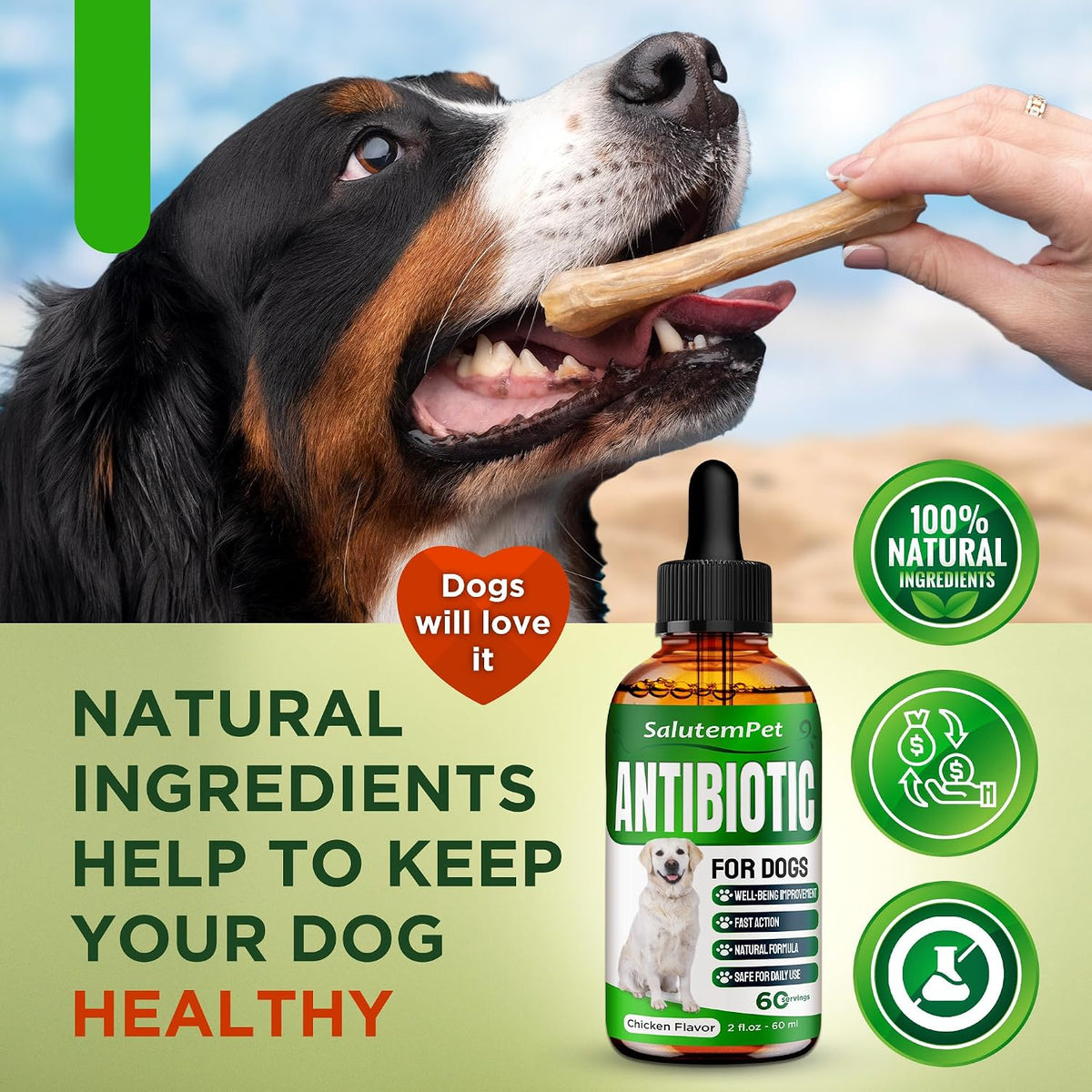 SalutemPet natural canine antibiotic alternative for all dog breeds