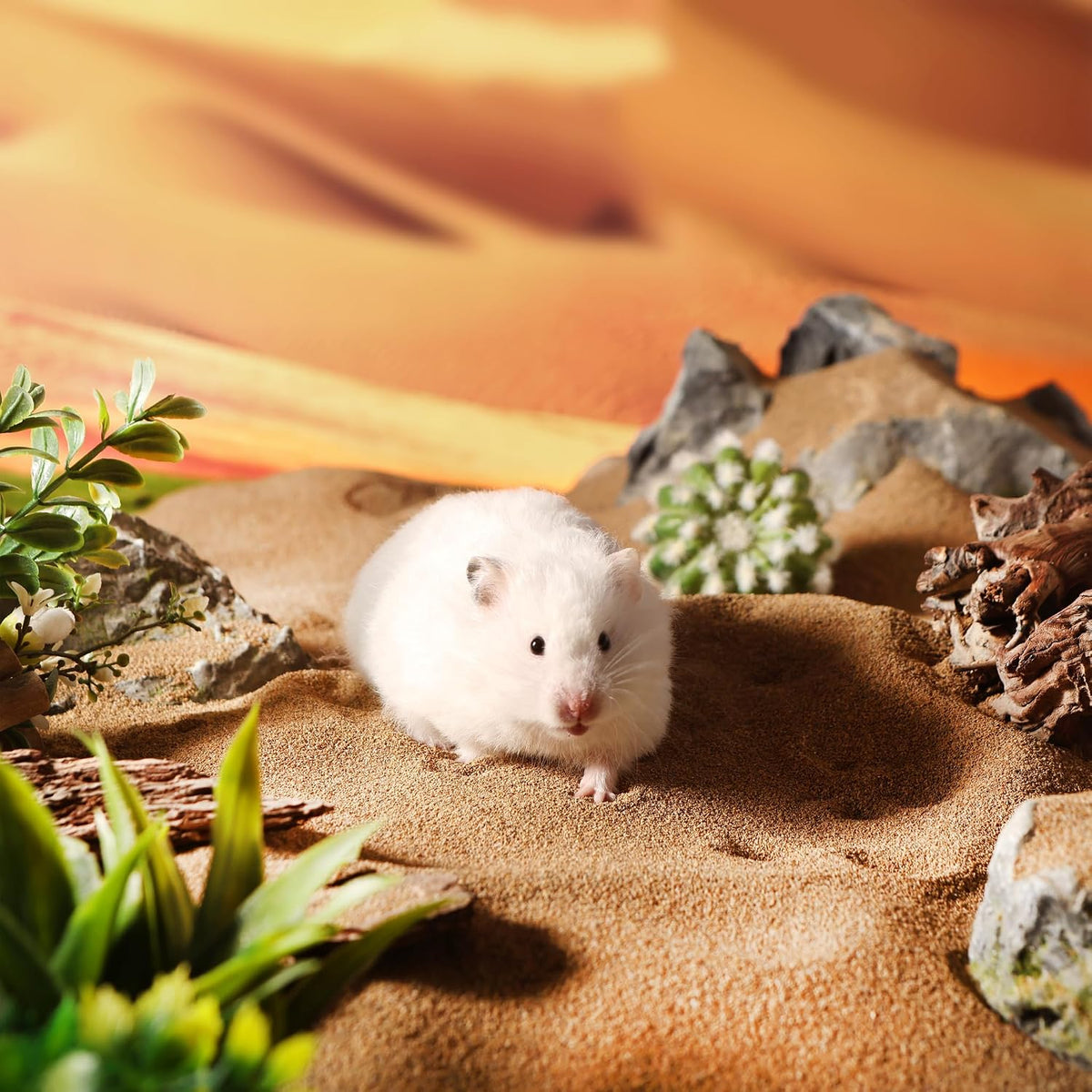 Complete set view of Bucatstate 6.6 lb hamster grooming sand