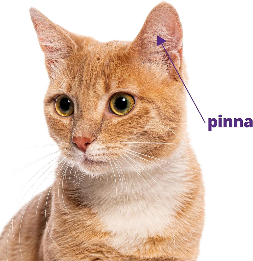 Application instruction visual for Mirataz cat ointment