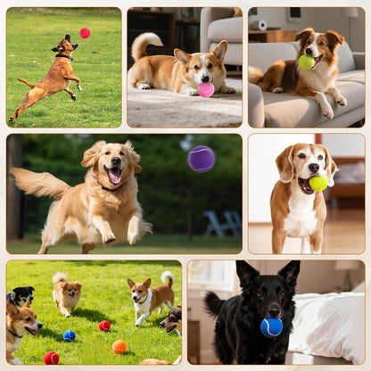 FURWEY Tennis Balls for Dogs 16 Pack,2.5 inches,Durable and Non-Toxic Dog Toys Balls with Mesh Bag,Colorful Fetch Toys Balls for pet Dog (Non Squeaky) - Image 9