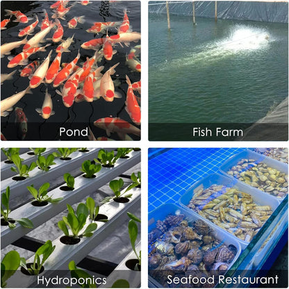 Fumak aquarium air pump used in a hydroponic setup demonstration