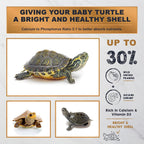 Ultra Fresh baby turtle calcium and vitamin D enriched food container side