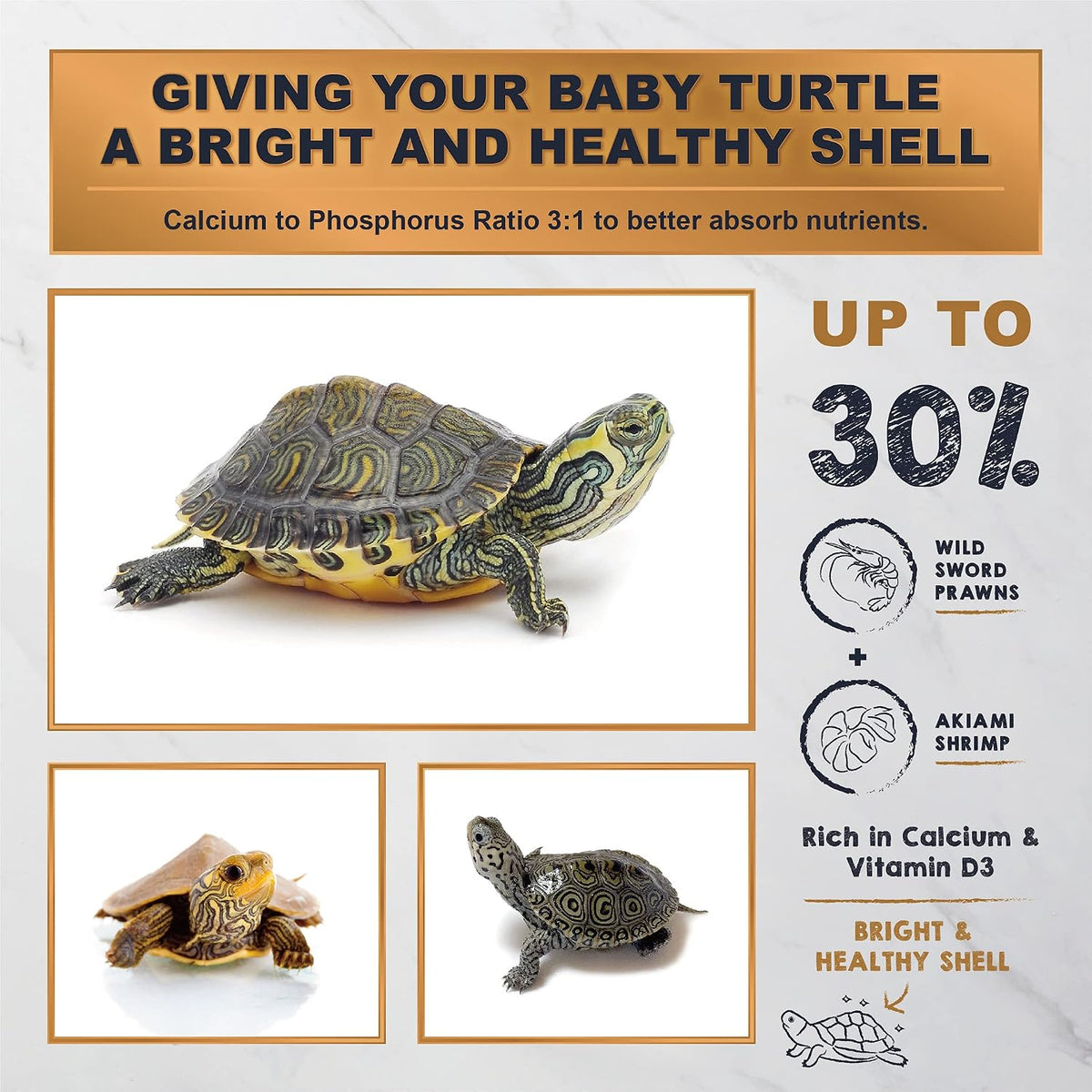Ultra Fresh baby turtle calcium and vitamin D enriched food container side