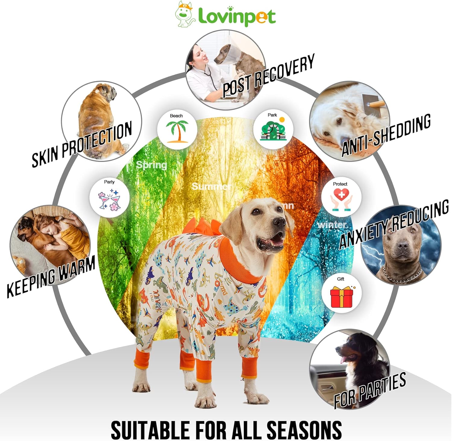 LovinPet post surgery dog clothing illustrating how the elastic design fits securely over a large breed chest.
