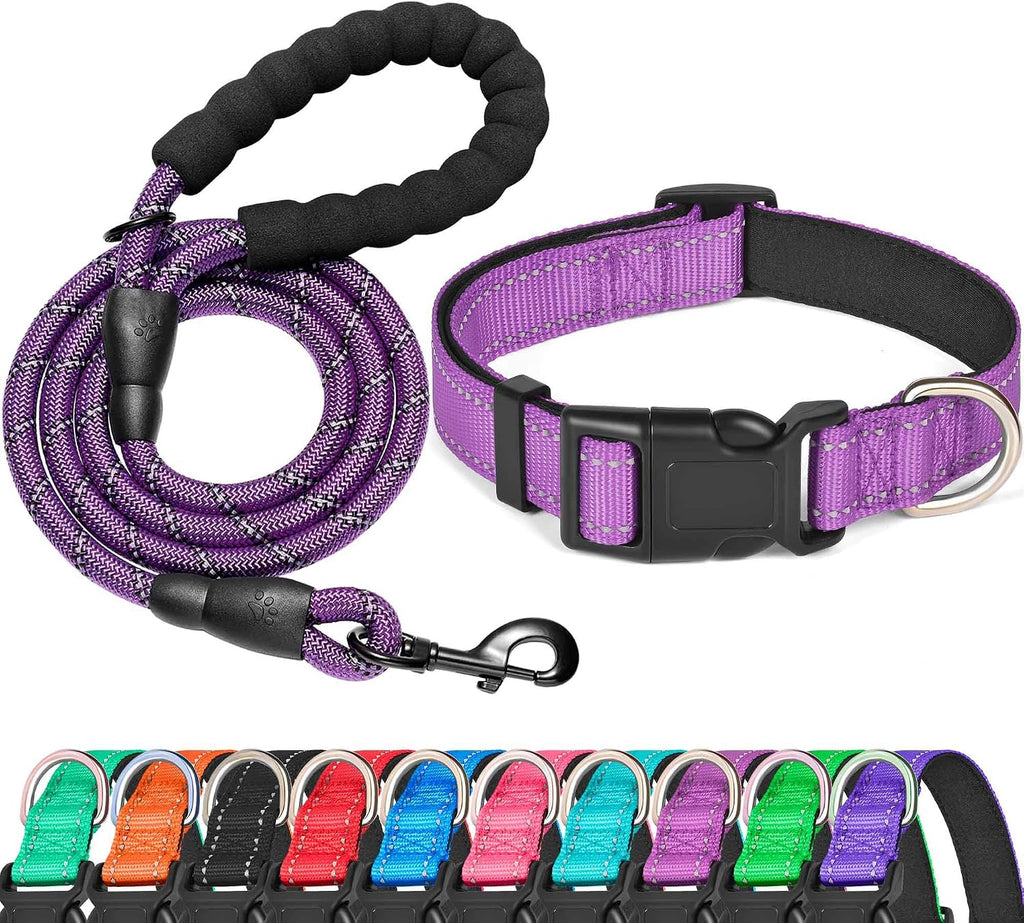 Adjustable nylon webbing detail of Ladoogo dog collar