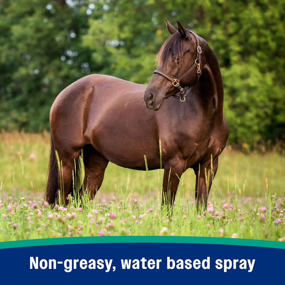 Farnam natural fly spray displayed in an equine stable setting