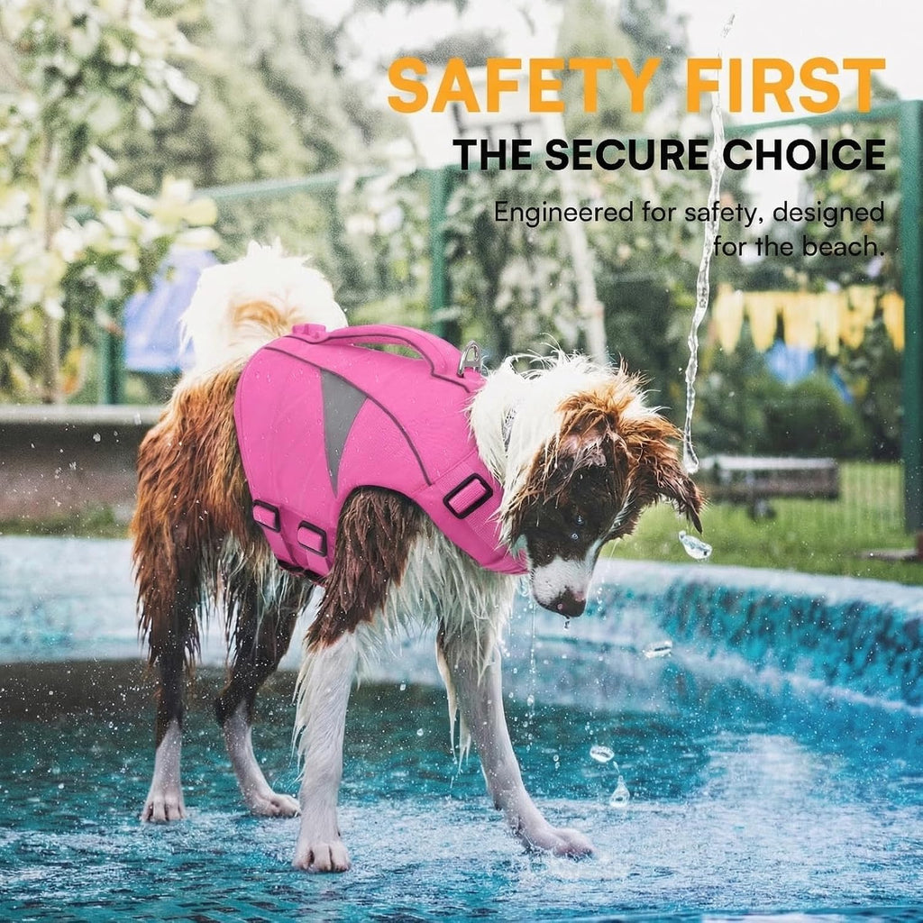 French Bulldog wearing a pink Queenmore high flotation safety swimsuit.