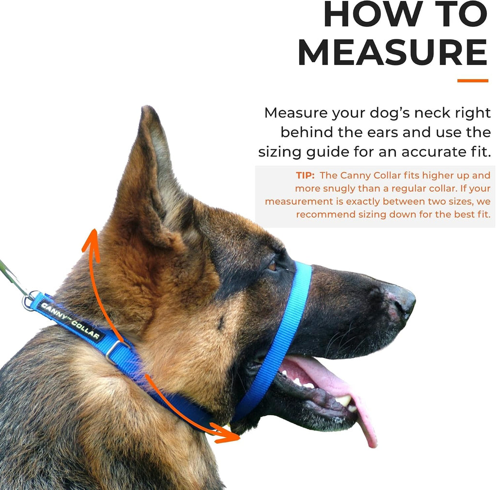 Black nylon anti pull head collar for large and medium dogs