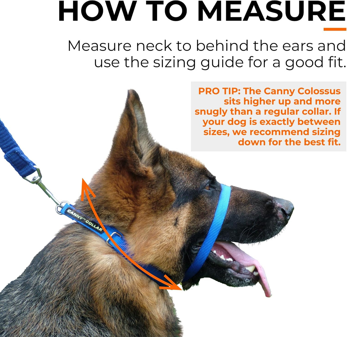 Canny Colossus premium imported nylon no pull dog collar