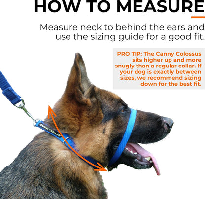 Canny Colossus premium imported nylon no pull dog collar