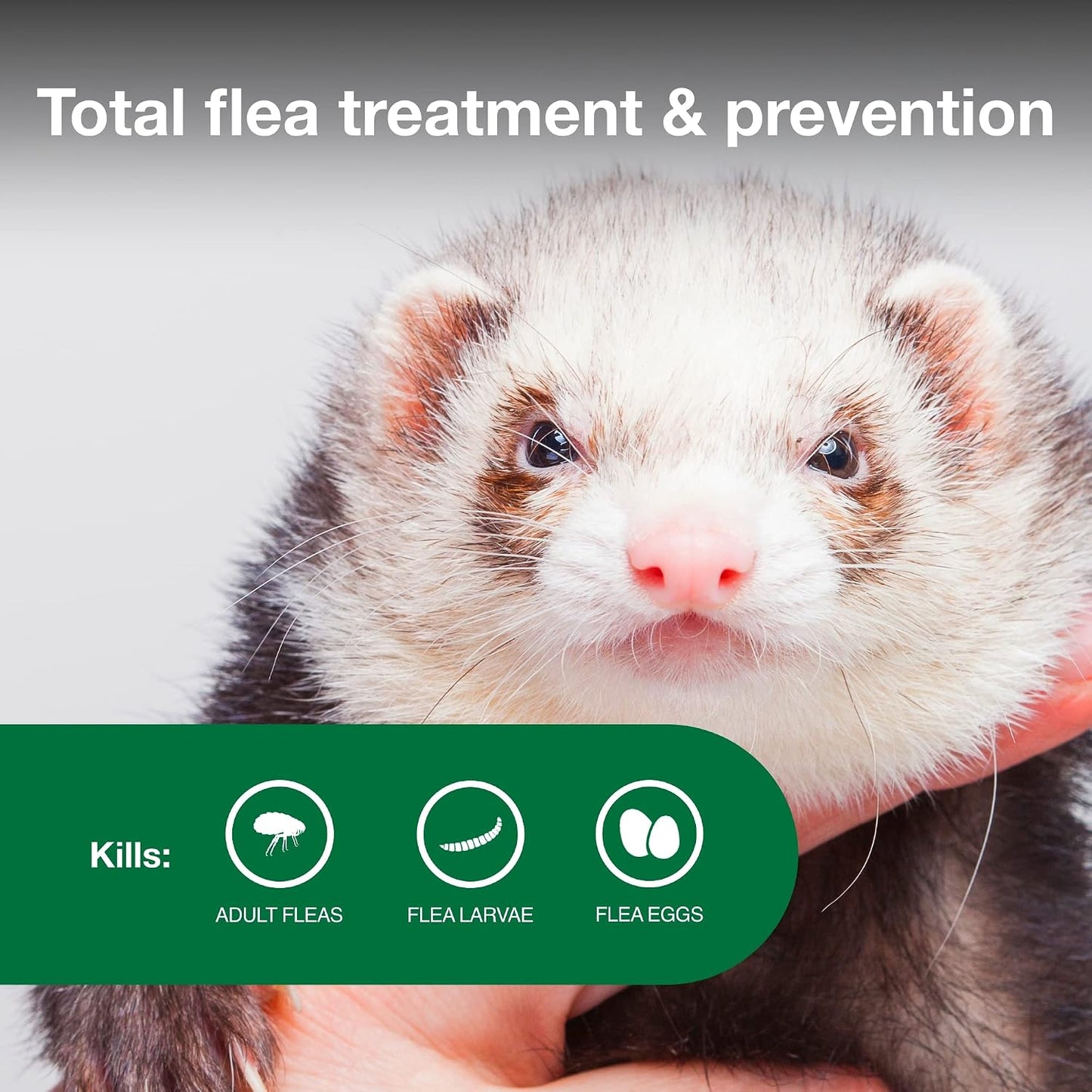 Advantage monthly ferret flea protection two dose supply