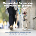 PetSafe blue dog harness with full-body padding