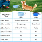 Expanded small size SLSON dog food feeder dish showing sturdy one piece rim