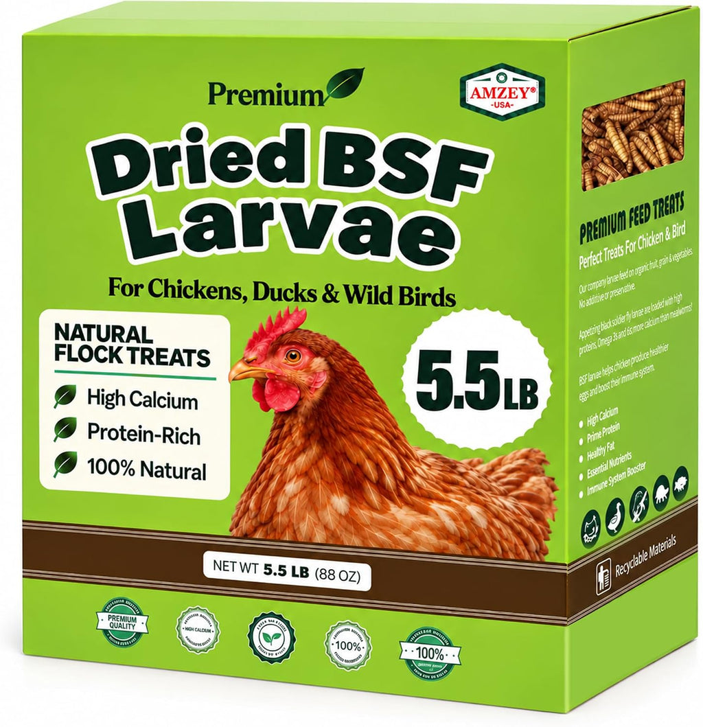 Amzey 11 LB Dried Black Soldier Fly Larvae, High-Calcium Chicken Treats - Image 9