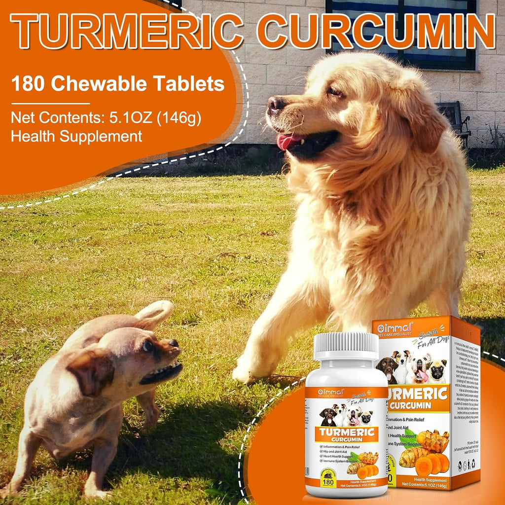 Alivo USA imported premium pet wellness turmeric bottle close up view