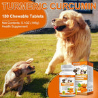 Alivo USA imported premium pet wellness turmeric bottle close up view