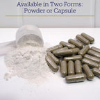 Close up view of Rx Vitamins MegaFlex supplement bottle