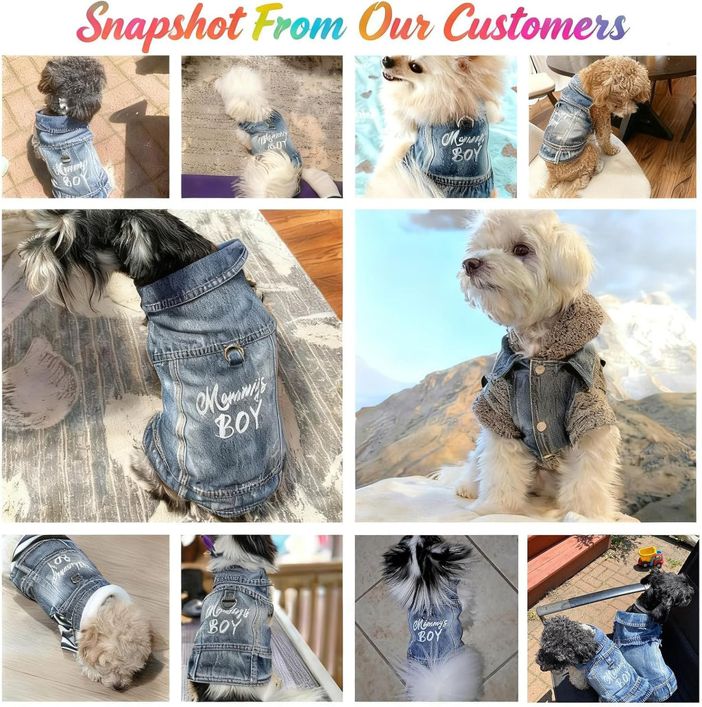 Small Chihuahua model comfortably wearing the JcDuDoi vintage style denim pet clothes.