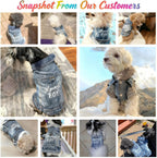 Small Chihuahua model comfortably wearing the JcDuDoi vintage style denim pet clothes.