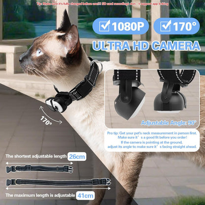 Side profile of Prrprr cat action camera on collar