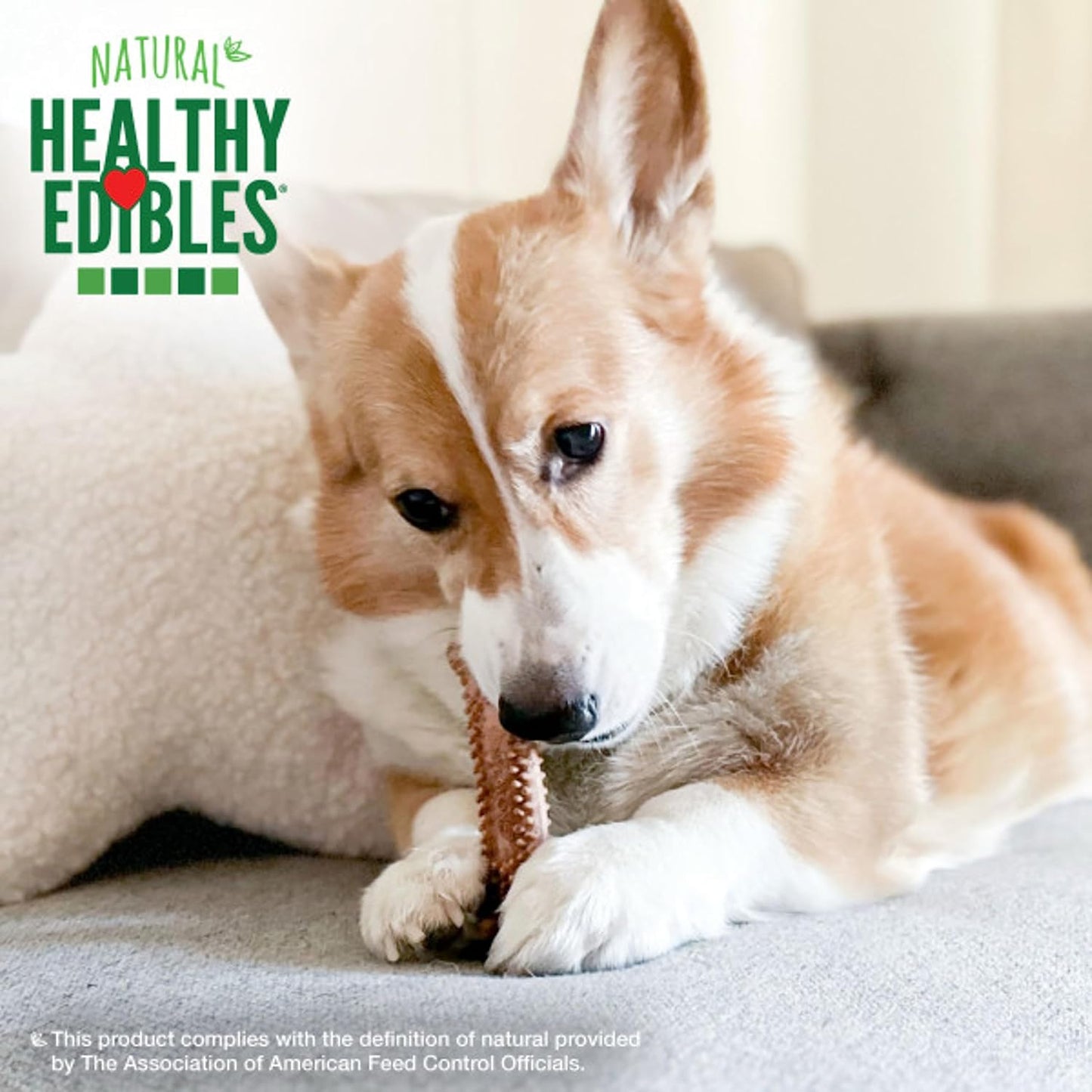 Nylabone Healthy Edibles 12 count pack for small dogs