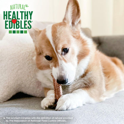 Nylabone Healthy Edibles 12 count pack for small dogs