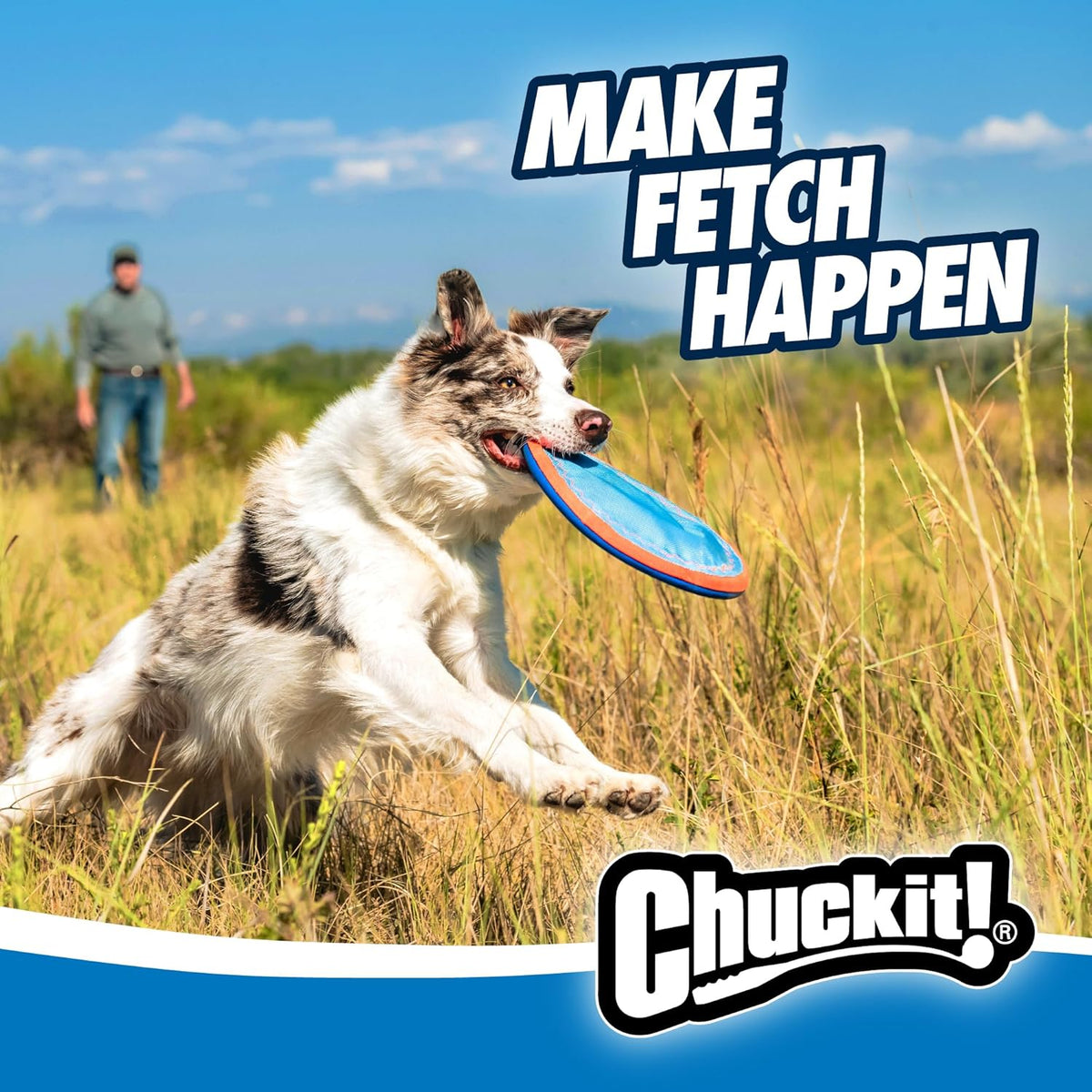 Medium and large dog playing with Chuckit! fetch toy