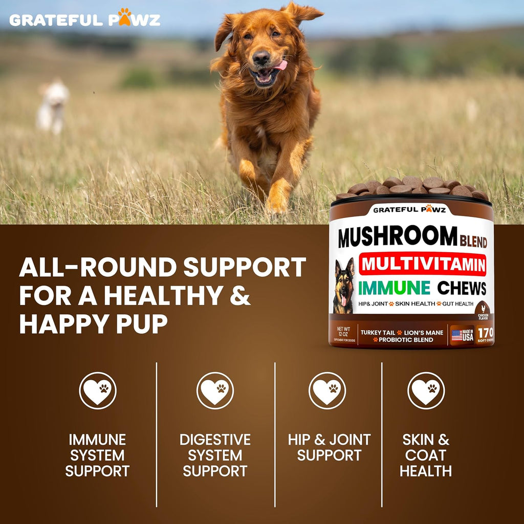 Close up look of the text instructions and weight dosing guidelines for Vet Promise pet supplements