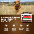 Close up look of the text instructions and weight dosing guidelines for Vet Promise pet supplements