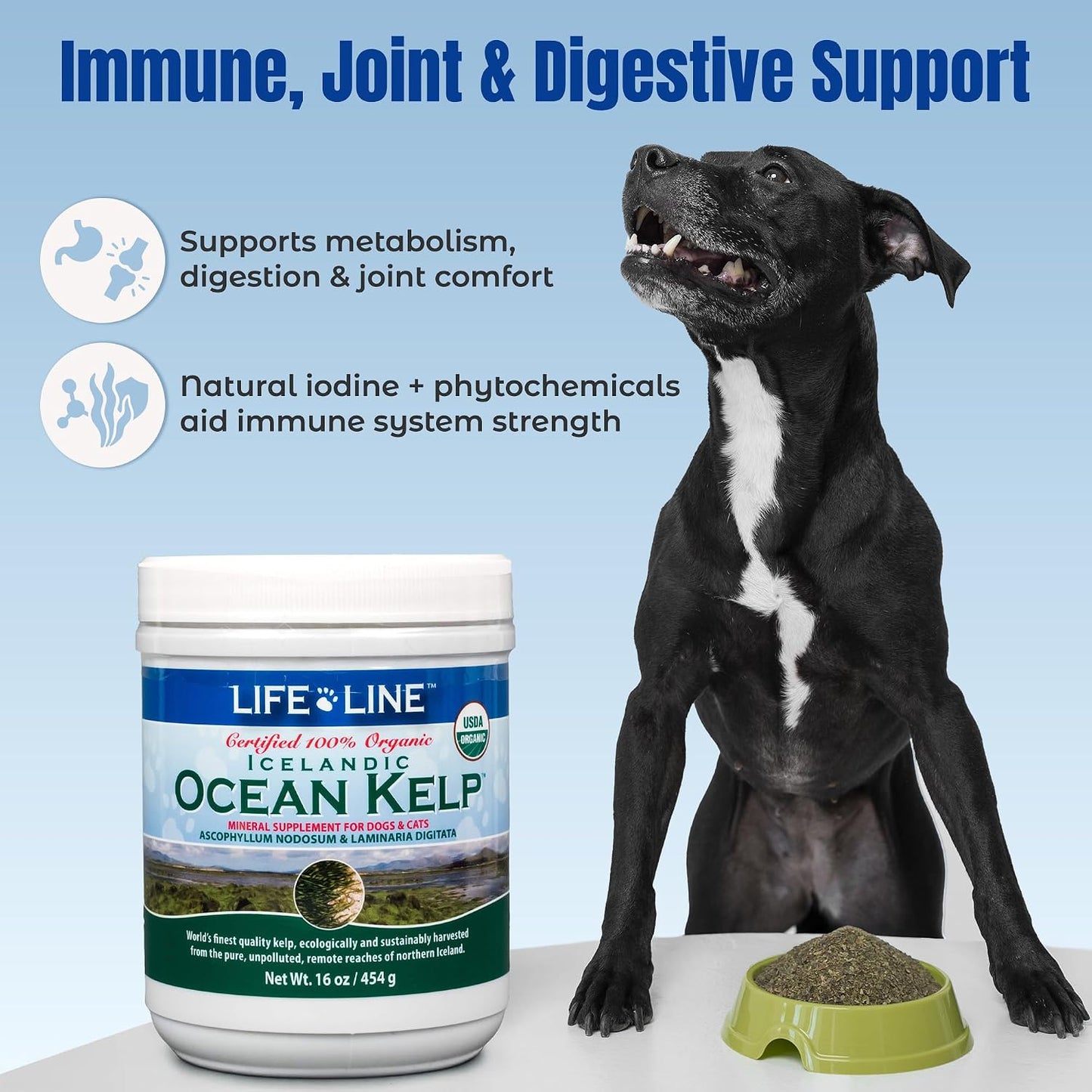 Dog eating food topped with Life Line organic kelp powder