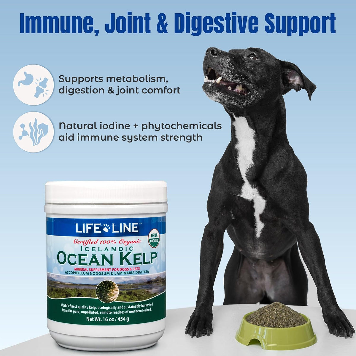 Dog eating food topped with Life Line organic kelp powder