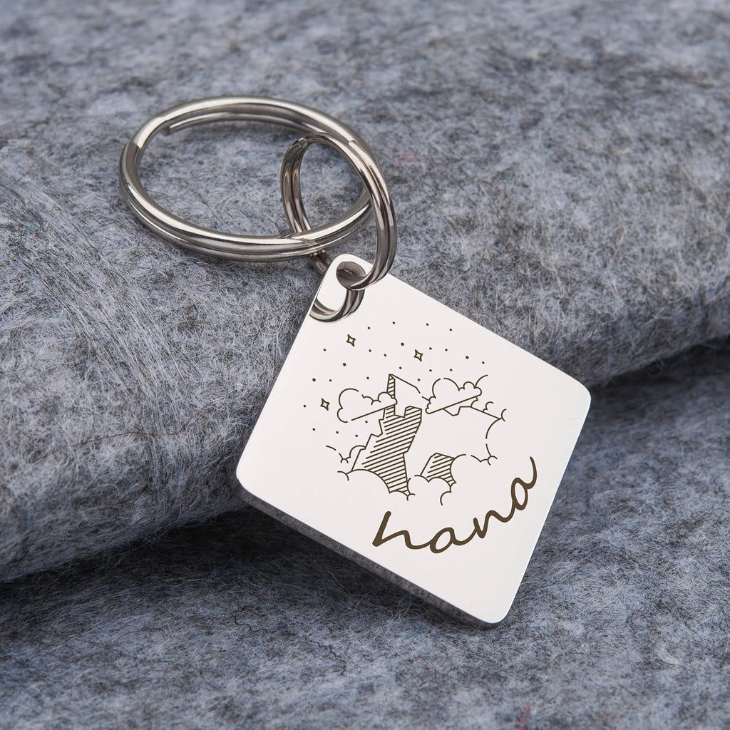 Anavia personalized silver dog name tag attached to a canine collar.