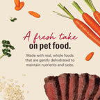 Bowl of prepared Honest Kitchen dehydrated dog food with fresh water