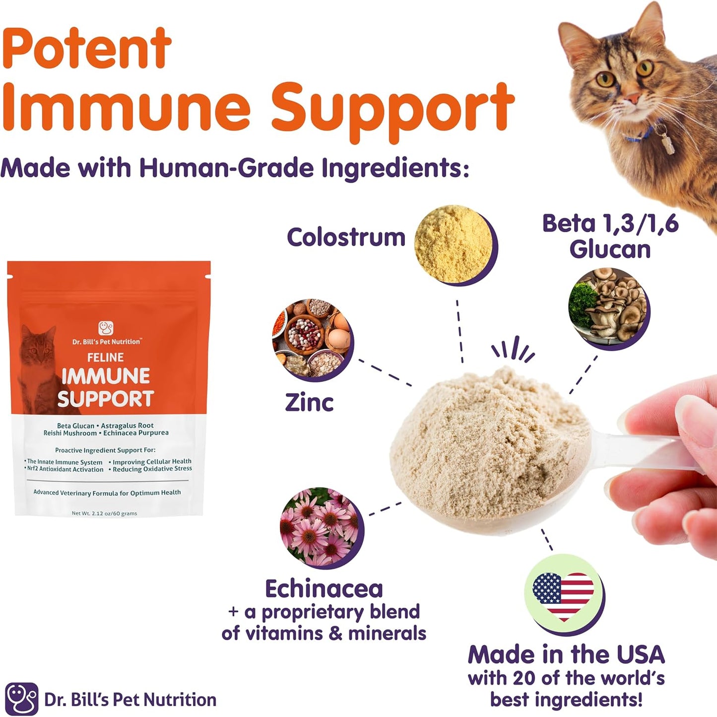 Cat health supplement for immune and digestive support