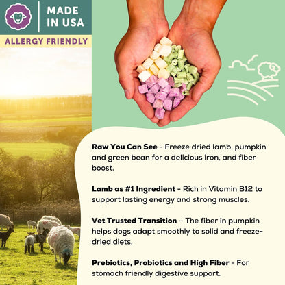 Close up view of A Better Treat kibble and freeze dried pieces