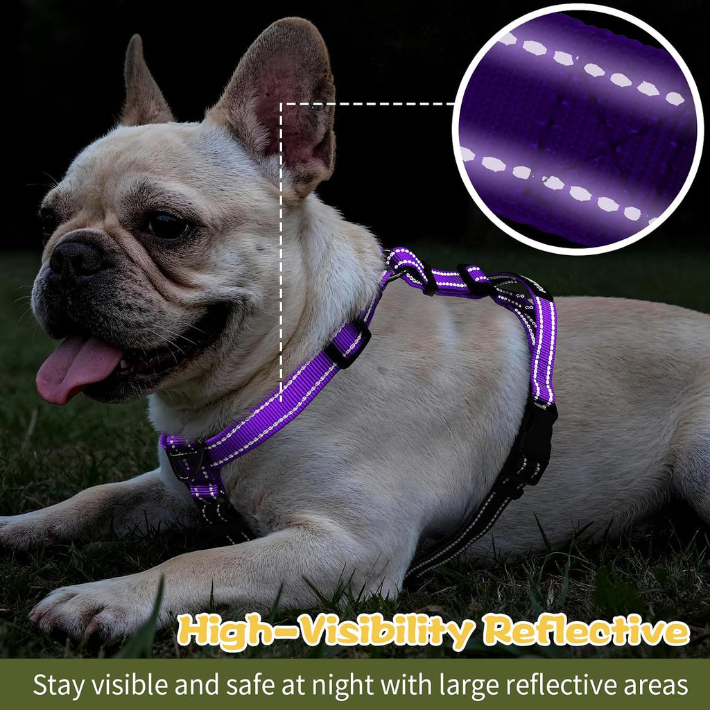 Kazazoo extra large dog harness for hiking and training