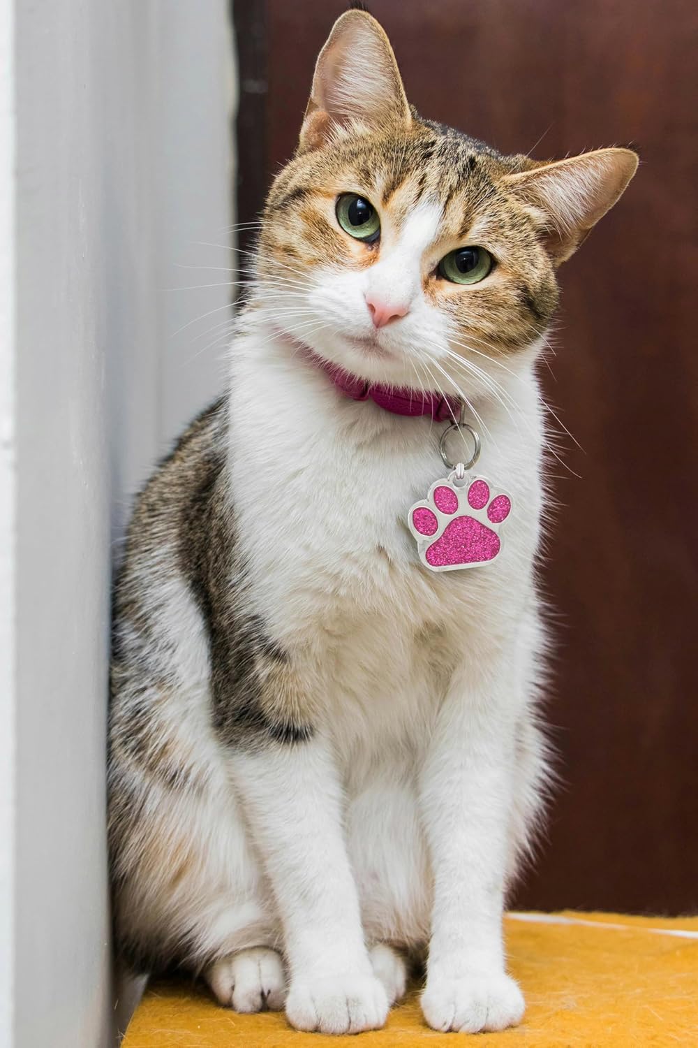 Close up of sparkling pink paw shaped identification tag for small pets