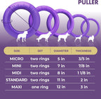 Professional dog training fitness tool set