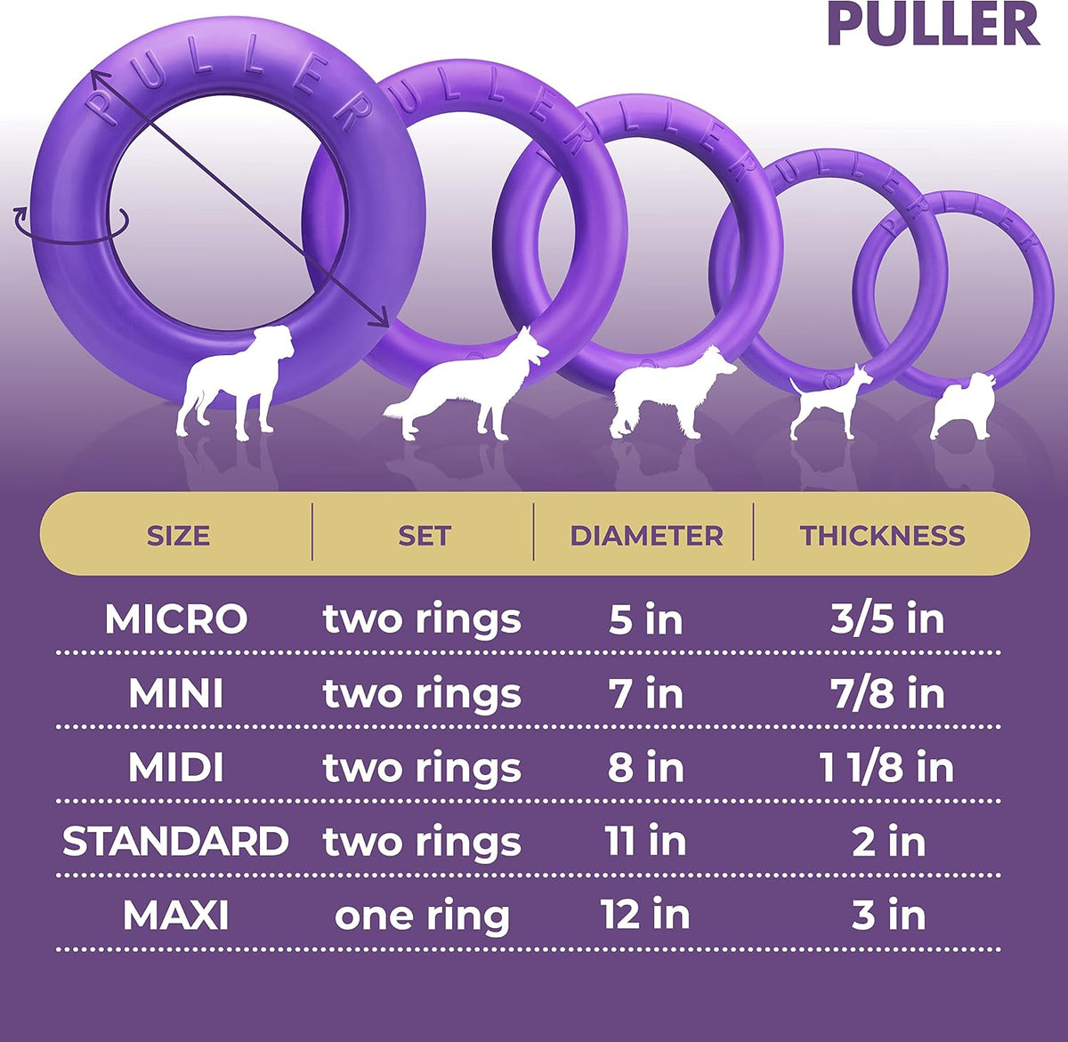 Professional dog training fitness tool set