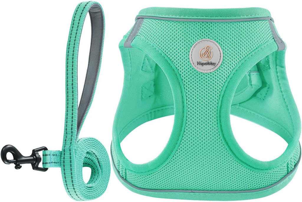 Adjustable soft mesh vest harness set for puppies and small breeds