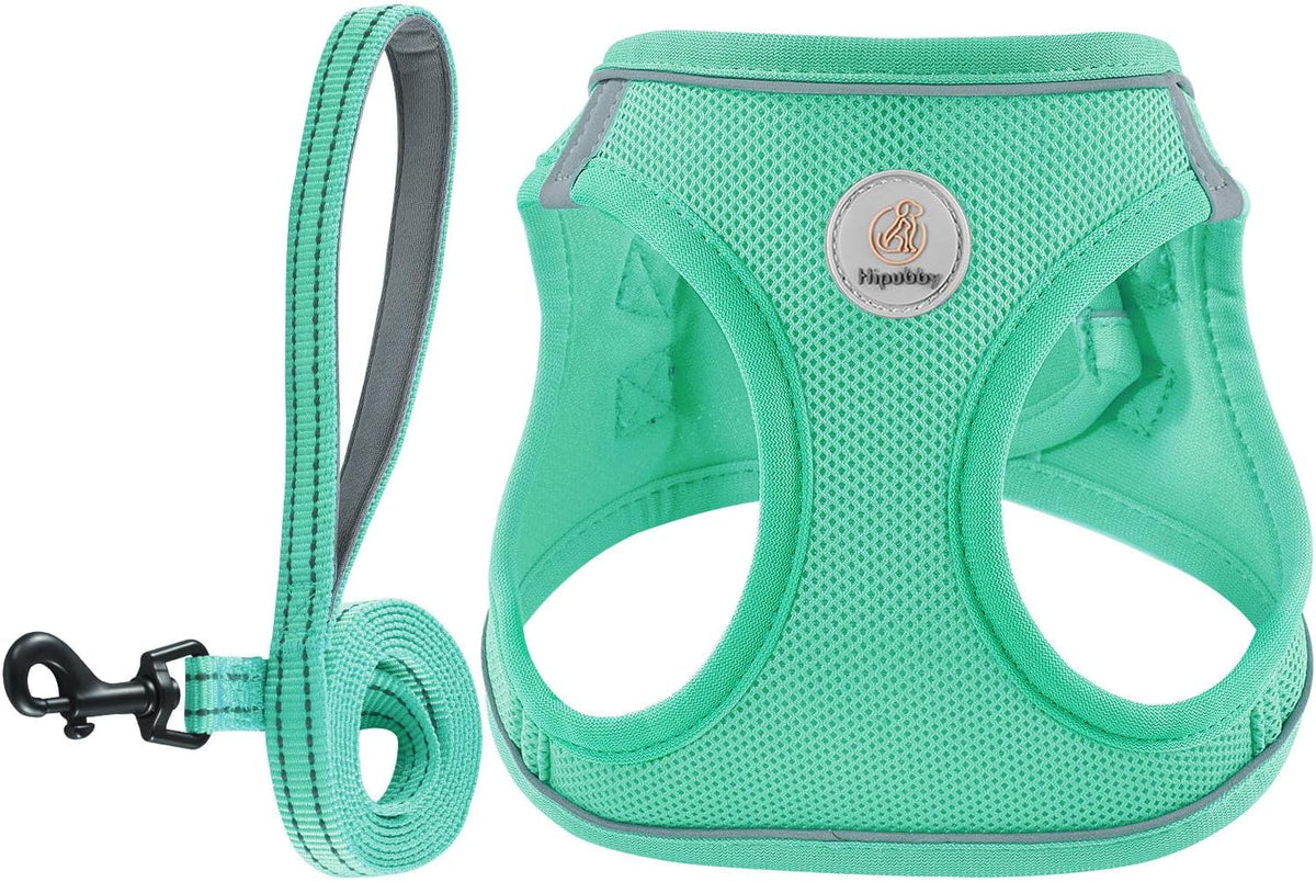Adjustable soft mesh vest harness set for puppies and small breeds
