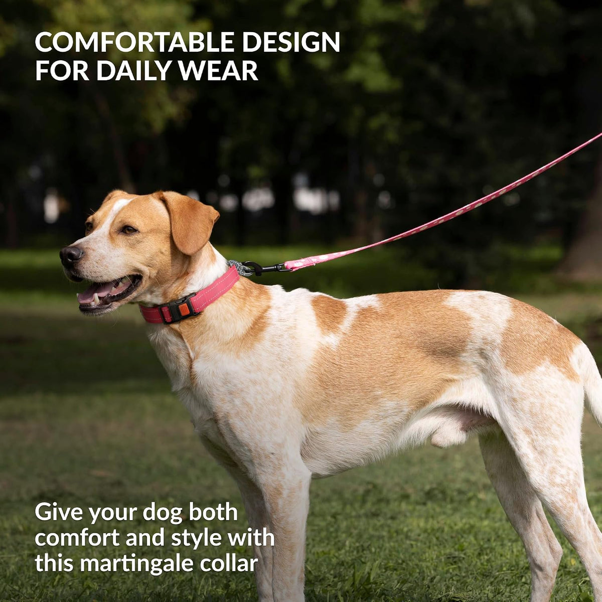 CollarDirect heavy duty training collar lying flat showing the adjustable tri glide slide buckle