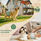 Lurkomemo pet diapers for male dogs showing the quick dry gel core technology simulation